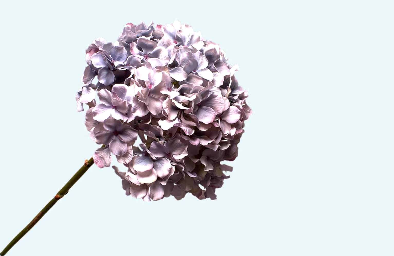 The Finest Hand Selected Stems - Why Lifelike Flowers why-2
